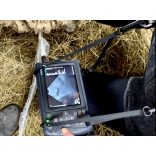 DAWEI állatorvosi hordozható ultrahang készlet 1 db vizsgálófejjel