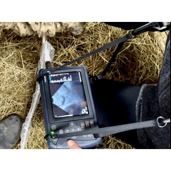 DAWEI állatorvosi hordozható ultrahang készlet 1 db vizsgálófejjel