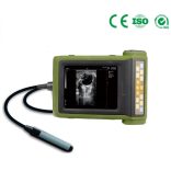 Állatorvosi mobil ultrahang készülék választható vizsgálófejjel
