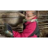 Állatorvosi mobil ultrahang készülék választható vizsgálófejjel