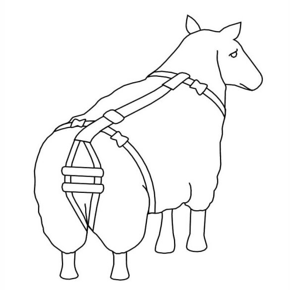 Juh, kecske hüvelyelőesés, méhelőesés gátló hám