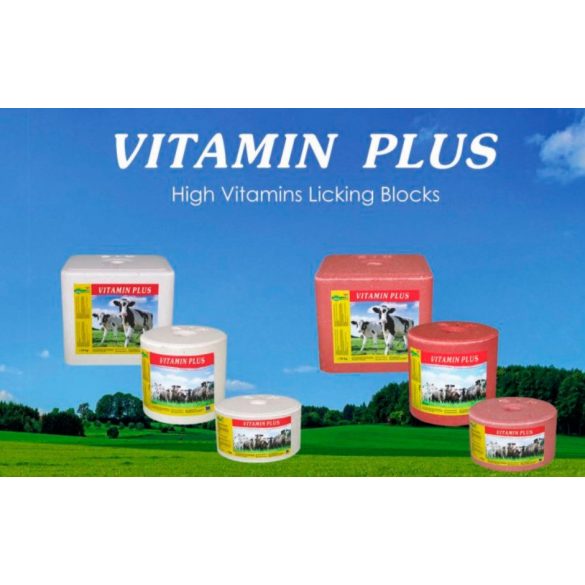 Vitamin Plus vitaminos nyalósó szelénnel 10kg