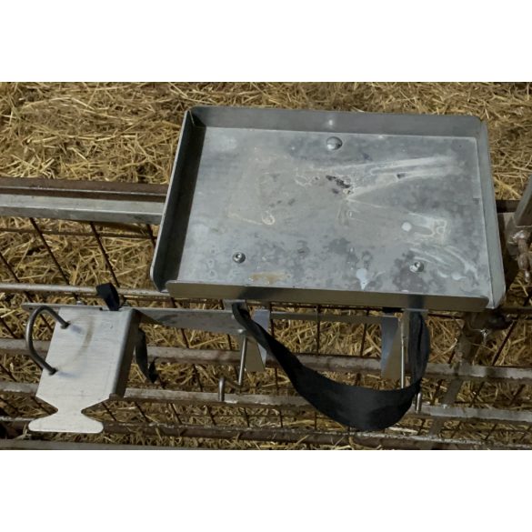 Bárány, gida kezelőállomás asztallal, állvánnyal