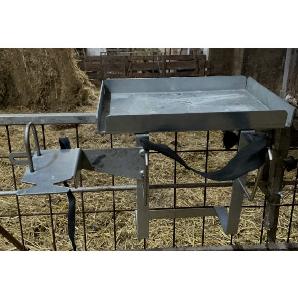 Bárány, gida kezelőállomás asztallal, állvánnyal