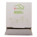 Fruit Fly Lantern gyümölcslégy csapda