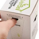 Fruit Fly Lantern gyümölcslégy csapda