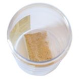 Fly in Fly trap többször használható légycsapda